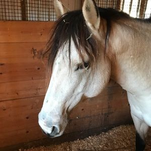 Meet your Posher, Stephen